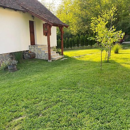 Rudnicki Eko Breg Vila Rudnik Kačerski Exterior foto