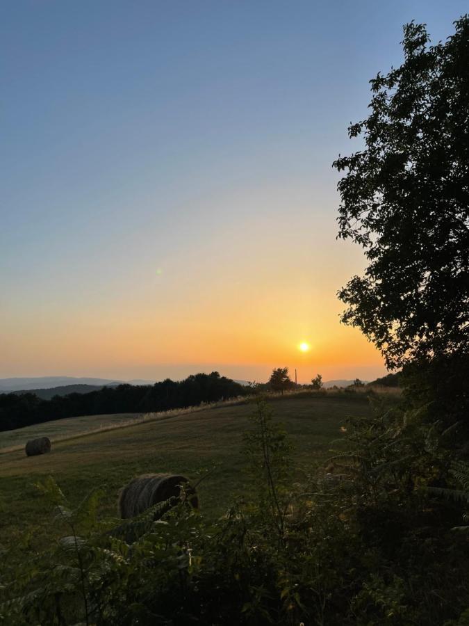 Rudnicki Eko Breg Vila Rudnik Kačerski Exterior foto