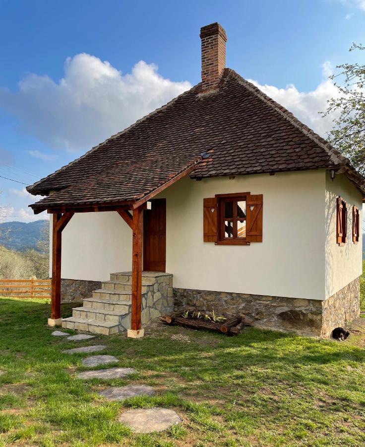 Rudnicki Eko Breg Vila Rudnik Kačerski Exterior foto