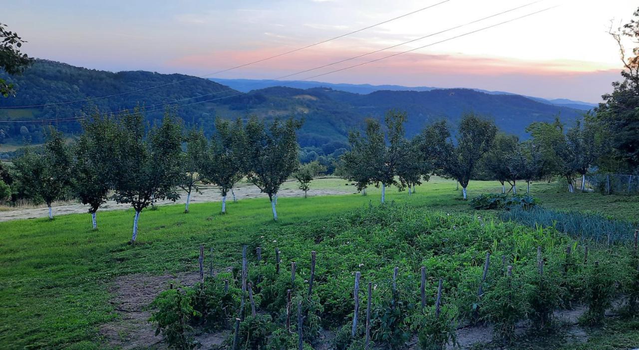 Rudnicki Eko Breg Vila Rudnik Kačerski Exterior foto