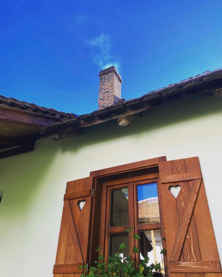 Rudnicki Eko Breg Vila Rudnik Kačerski Exterior foto