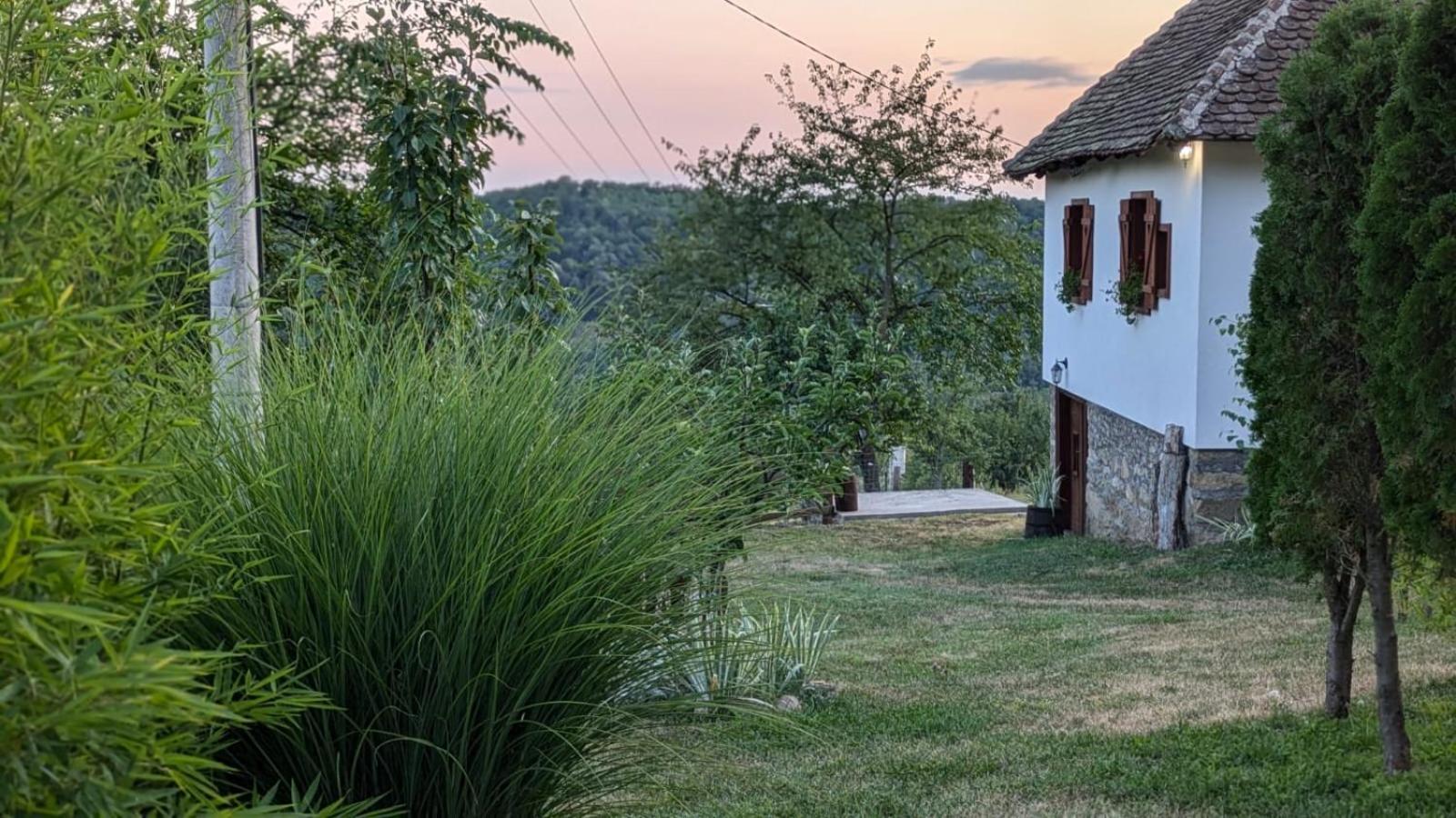 Rudnicki Eko Breg Vila Rudnik Kačerski Exterior foto