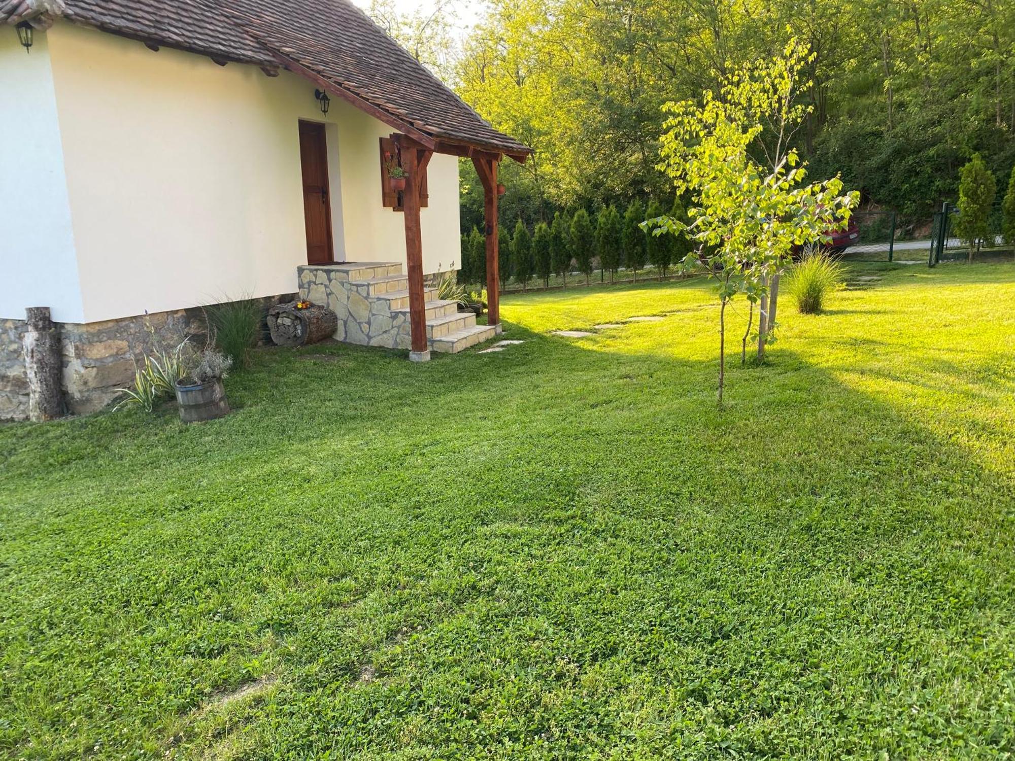 Rudnicki Eko Breg Vila Rudnik Kačerski Exterior foto