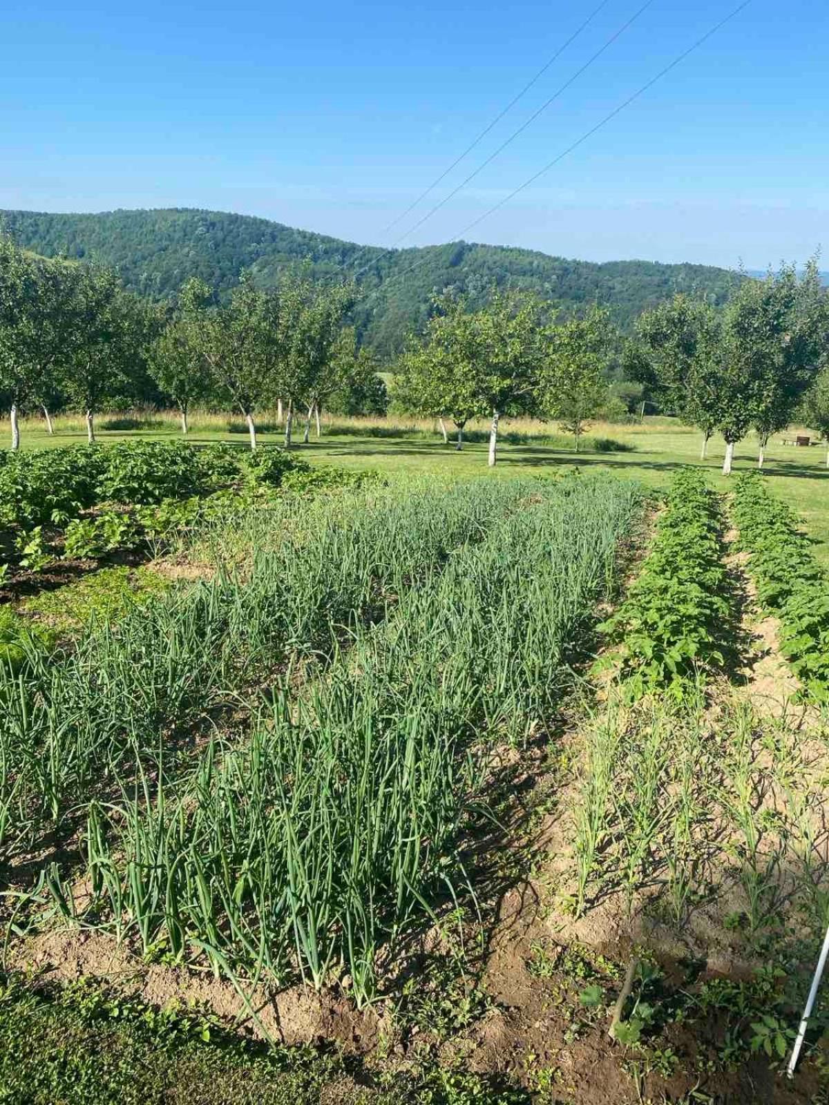 Rudnicki Eko Breg Vila Rudnik Kačerski Exterior foto
